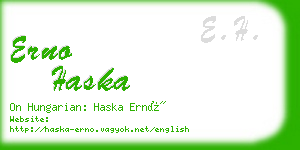 erno haska business card